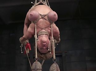 Big natural tits bondage damsel displaying her nice ass then tortured