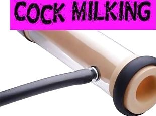 Cock Milking