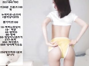 webbkamera, koreansk