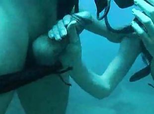 Couple goes scuba diving and has sex underwater
