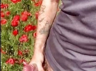 In the poppy field: OUTDOOR public JERK off, CUM and PISS in the countryside