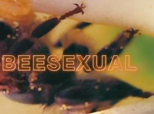 анальный-секс
