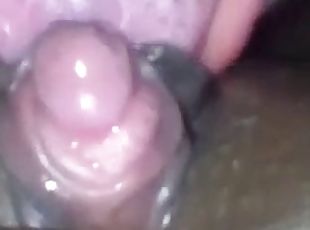 klitoris, ebony, svart