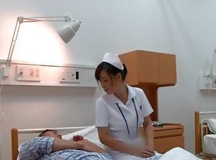 asiatiche, pecorina, vulve-pelose, infermiere, amatoriali, mammine-mature, hardcore, giapponesi, seghe, coppie