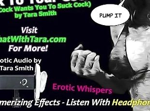 Talk To Your Cock Erotic Audio For Men Pussy Denial Bisexual Encouragement Fetish Mesmerizing
