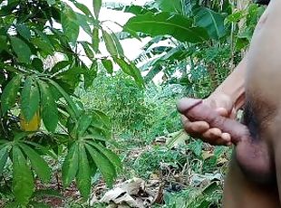 INDONESIAN DICK - Feeling Horny While Walking in the Cassava Garden to Masturbate and Cum a lot