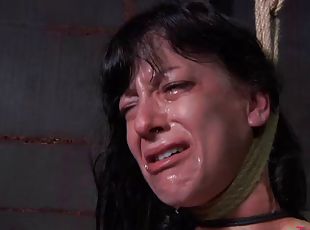 Sexy Elise Graves cries in pain during the most hardcore BDSM torture