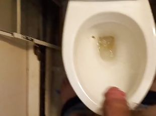 Guy Takes a quick Piss in the Toilet after smoking some weed