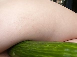 my favorite cucumber